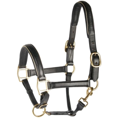 Abbildung von Harry&#039;s Horse Lederhalfter mit Paspel Gold Vollblut
