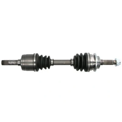 Abbildung von Antriebswelle PASCAL G2G055PC
