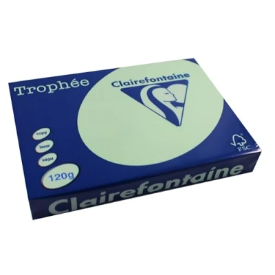 Abbildung von Clairefontaine 1216C Ries Druckerpapier / Kopierpapier Trophee, intensive Farben, DIN A4, 120g, 250 Blatt, Grün, 1