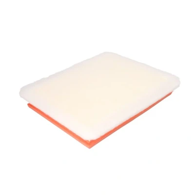 Abbildung von FILTRON AP 051/6 Luftfilter 52 224 292,5 Filtereinsatz OPEL: Zafira B, Astra H Caravan, GTC