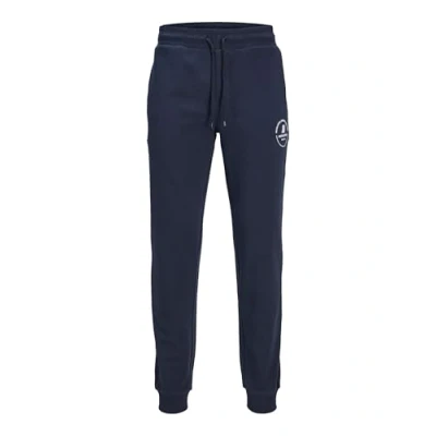 Abbildung von JACK&amp;JONES PLUS Jpstgordon Jjswift Sweat Pants Noos Pls