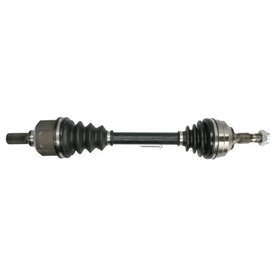 Abbildung von Antriebswelle PASCAL G2P062PC