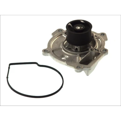 Abbildung von HEPU P1724 Wasserpumpe mit Dichtung mechanisch