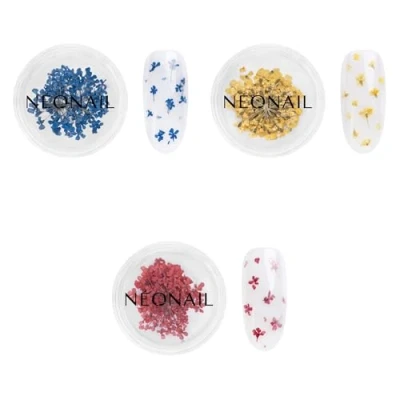 Abbildung von NEONAIL Nail Art Flowers Set Trockenblumen Getrocknete Blumen Nageldesign Zubehör Nageldekorationen Blüten Decoration Gelnägel 3 Farben Navy, Yellow, Red