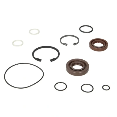 Abbildung von DT Spare Parts 1.31954 Dichtungssatz, Hydraulikpumpe