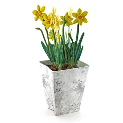 Abbildung von OSTERGLOCKEN Pop Up Karte: eine gefaltete 3D Karte mit Narzissen im Blumentopf schöne Grusskarte Frühling