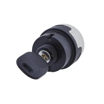 Abbildung von HELLA Zünd /Startschalter Drehbetätigung 12V / 24V 10 polig Ein/Aus Schalter/starten/vorglühen 6JB 003 959 001