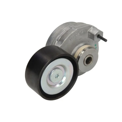 Abbildung von DAYCO APV2813 Riemenspanner