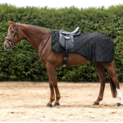 Abbildung von Waldhausen Ausreitdecke Exclusive Schwarz Pony