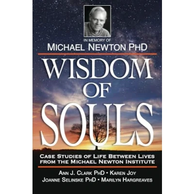 Abbildung von Wisdom of Souls: Case Studies Life Between Lives from the Michael Newton Institute