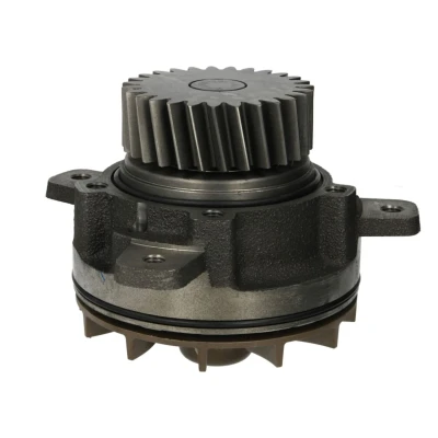 Abbildung von DOLZ V207 Wasserpumpe