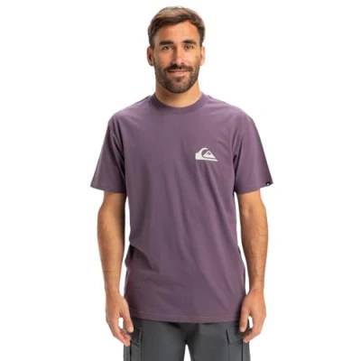 Abbildung von Quiksilver EV MINI LOGO Tshirt basic, Herren, Größe: XS, Purple