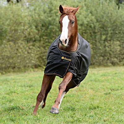 Abbildung von Bucas Irish Turnout Light 0g Schwarz/Gold 145/198