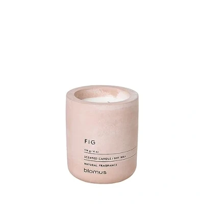 Abbildung von blomus FRAGA Duftkerze S aus Sojawachs, Rose Dust, hochwertiger Raumduft, charakteristische Beton Optik, Duft FIG, 24 h Brenndauer, besonders rußarm (H / B T: 8 x 6,5 cm, 65650)