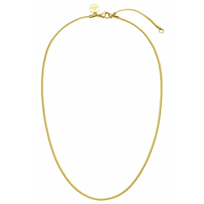Abbildung von Purelei® Sleeky Kette Damen (Gold) Halskette aus langlebigem Edelstahl Wasserfeste 40 45 cm Länge verstellbar für deinen individuellen Look
