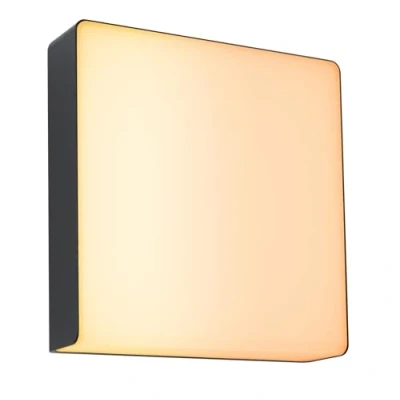 Abbildung von Paulmann 94842 LED Außenwandleuchte Smart Home Zigbee Azalena Bewegungsmelder IP44 250x97mm Tunable Warm 8,5W 700lm Anthrazit Außenleuchte