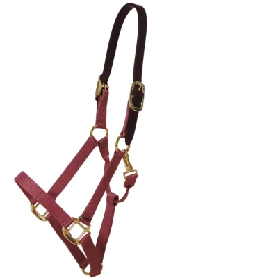 Abbildung von Kentucky Horsewear Halfter Breakaway Nylon BordeauxVerkauft von Agradi