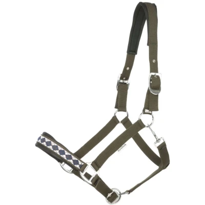 Abbildung von Kavalkade Perlon Halfter Classic Grün Pony