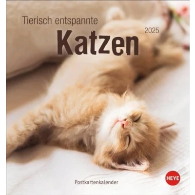 Abbildung von Tierisch entspannte Katzen Postkartenkalender 2025: Witzige Fotos verschlafender Stubentiger in einem Tischkalender zum Aufstellen oder Aufhängen. ... für Katzenfans. (Postkartenkalender Heye)