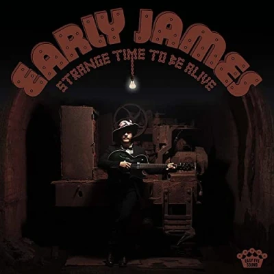 Abbildung von Strange Time to Be Alive (Vinyl) [Vinyl LP]