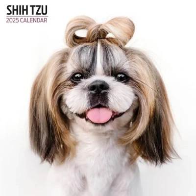 Abbildung von Shih Tzu Kalender 2025 Modern