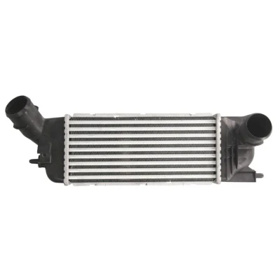 Abbildung von THERMOTEC DAC009TT Ladeluftkühler 300 150 85 CITROËN: C5 II Estate, PEUGEOT: 407 Saloon
