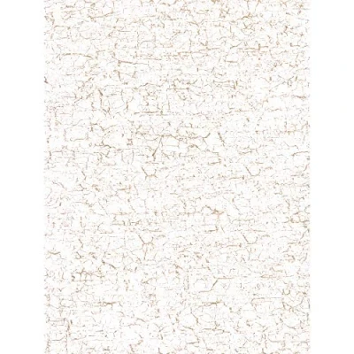 Abbildung von Décopatch Papier No. 444 Packung mit 20 Blätter (395 x 298 mm, ideal für Ihre Papmachés) weiß, craquelé