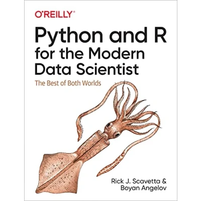 Abbildung von Python and R for The Modern Data Scientist: Best of Both Worlds
