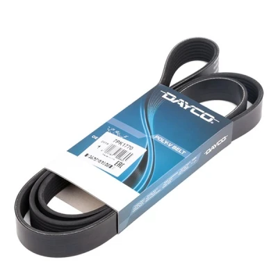 Abbildung von DAYCO 7PK1770 Keilrippenriemen 1770,0 7 RENAULT: ESPACE 4, Vel Satis, HONDA: FR V