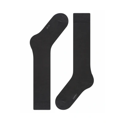Abbildung von Esprit Basic PURE Kniestrümpfe black, Damen, Größe: 39 42, Black