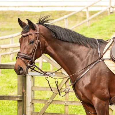 Abbildung von Harry&#039;s Horse Brustgeschirr Rosegold Braun Warmblut