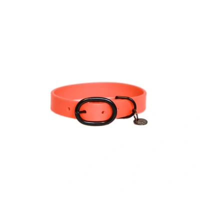 Abbildung von Kentucky Kragen Soft Gummi Neonorange 71cm