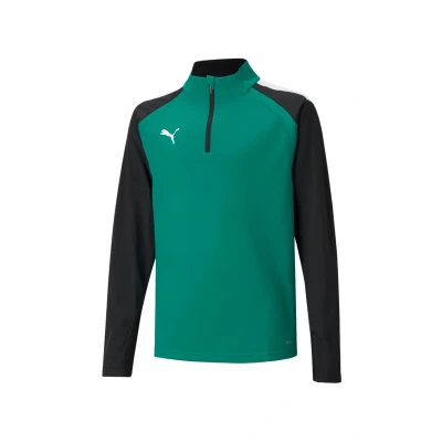 Abbildung von Puma Teamliga Langarmshirt, Herren, Größe: 3XL, Green