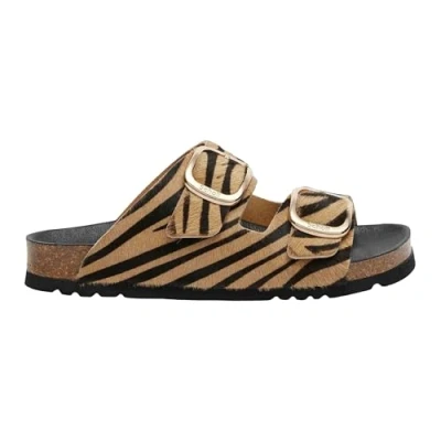 Abbildung von Scholl NOELLE Zebra