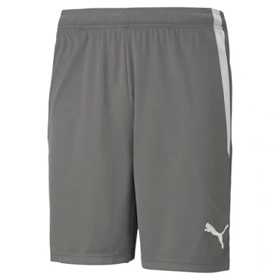 Abbildung von PUMA Teamliga Shorts, Smoked Pearl White, S