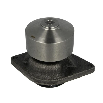 Abbildung von DOLZ L214 Wasserpumpe 42,5