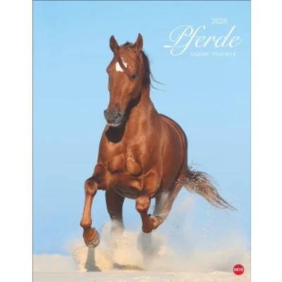 Abbildung von Pferde Classics Posterkalender 2025: Die Eleganz der Tiere in einem Kalender im Posterformat eingefangen von Sabine Stuewer. Hochwertiger Fotokalender für Pferdefreunde.