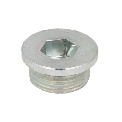 Abbildung von ELRING 587.180 Ölablaßschraube M22x1,5x10 12 mm, ohne Dichtring FIAT: Ducato III Minibus, Van, II Van