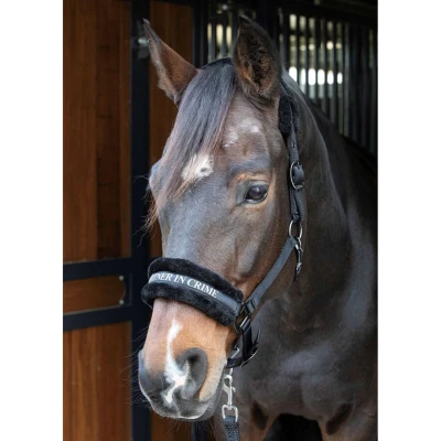 Abbildung von Harry&#039;s Horse Halfterset Lyrics Quotes SchwarzVerkauft von Agradi