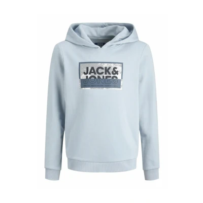 Abbildung von Jack &amp; Jones Junior Hoodie »JCOLOGAN SS24 PRINT SWEAT HOOD SN JNR«