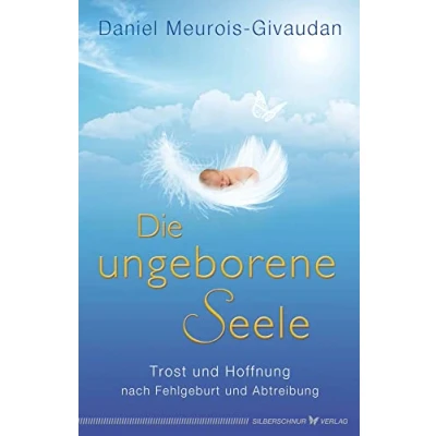 Abbildung von Die ungeborene Seele Trost und Hoffnung nach Fehlgeburt Abtreibung