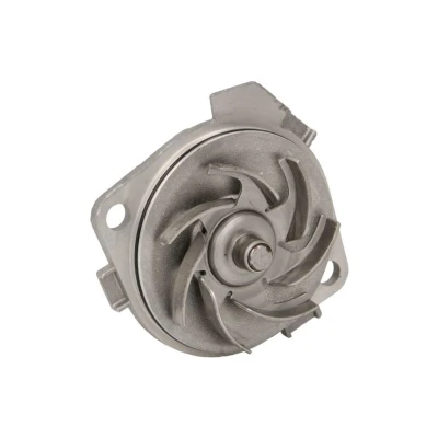 Abbildung von HEPU P1053 Wasserpumpe mit Dichtung mechanisch 48
