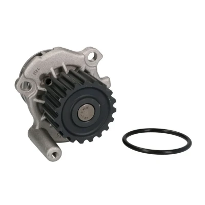Abbildung von THERMOTEC D1A024TT Wasserpumpe 19 mit Dichtung mechanisch AUDI: A4 B5 Avant, B6 Saloon, VOLKSWAGEN: Golf 4, Passat Estate