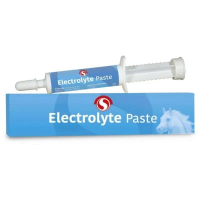 Abbildung von Sectolin Electrolyte Paste 30ml