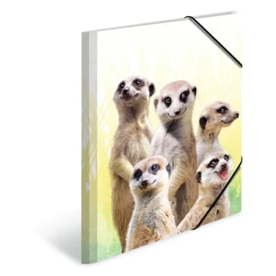 Abbildung von HERMA 19961 Sammelmappe DIN A4 Exotische Tiere Erdmännchentruppe, 3er Set, stabiler Kunststoff, Ordnungsmappe mit bedruckten Innenklappen und Gummizug, Dokumentenmappe für Kinder, Jungen Mädchen