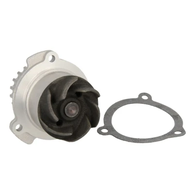 Abbildung von HEPU P622 Wasserpumpe 21 mit Dichtung mechanisch Metall