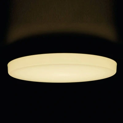 Abbildung von HEITRONIC LED Deckenleuchte »Pronto«, 1 flammig, Leuchtmittel Modul fest integriert, Bajonett Anschluss, Wandlampe, Deckenlampe, für innen und außen