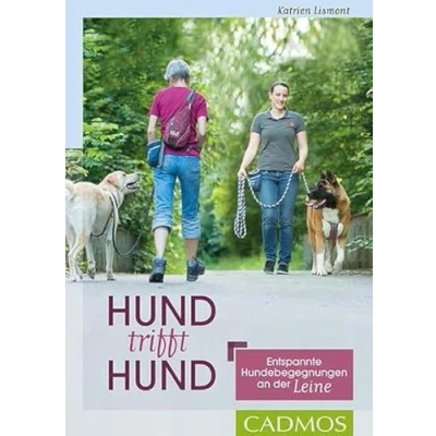 Abbildung von Hund trifft Hund: Entspannte Hundebegegnungen an der Leine