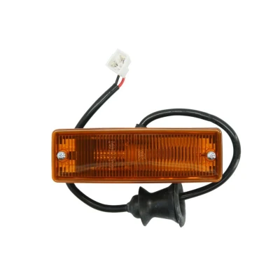 Abbildung von DT Spare Parts 4.62824 Blinker P21W 24