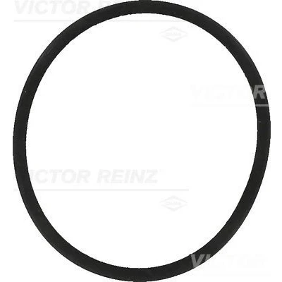 Abbildung von REINZ 40 77557 00 Ansaugkrümmerdichtung SEAT: Ibiza 4 Sportcoupe, 3, VOLKSWAGEN: Polo IV Hatchback, V SKODA: Fabia 1 Combi